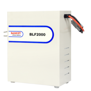 Basukey External Lithium Battery BLF2000